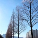 갈맷길8-2 이미지