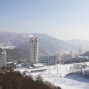 동화게임랜드 이미지