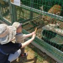 해운농장 이미지