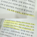 수 (수노래클럽) | 한로로 자몽살구클럽 책 후기 [내용 스포 있음] 여운이 많이 남는 소설