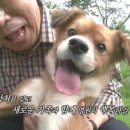 혜야