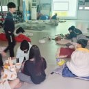 로드FC안산MMA체육관 이미지