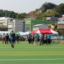 삼척초교 이미지