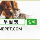 투썸펫 이미지