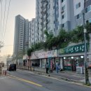 25-6/23-월 자연밥상-아침밥 구로거리공원-산책 테크노마트-둘러봄 도시락-저녁밥 이미지