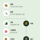 카카오메이커스 유찰꽃 후기｜11,900원 못난이 꽃, 우리 집엔 충분히 예뻤어요