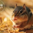 지에프코퍼레이션 이미지