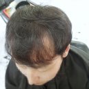 퍼니스핀 네이버블로그