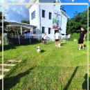 호텔 여기야 이미지