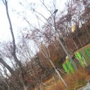 용허리근린공원 이미지