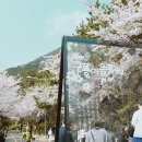 동삼1동행정복지센터 이미지