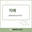 평화맑은신경과의원 네이버블로그