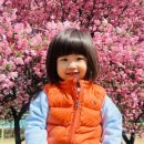 대전청사 다솜어린이집 이미지