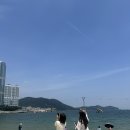 낭만조개 이미지