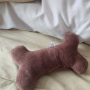 프리티멍 | [김포 구래동 반려견 미용실] 사랑으로 케어하는 1인샵 가위컷 전문 미용실, 프리티멍🐶