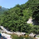 계곡휴양림 민박 이미지