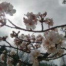 덕향만리