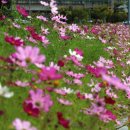 조홍제 생가 이미지