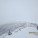 노고단-12 이미지