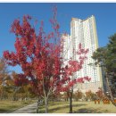 여울공원 이미지