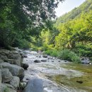 유성냉면 전주가 이미지