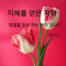 교회신문 ＞ 제 723호 특별기획. 신년사 - 화평함으로 복 받은 유다. 창45:3, 창46:28 이미지