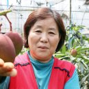 유광농장 이미지