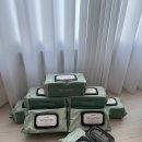 베베숲 시그니처 위드 그린 신상 물티슈 솔직 후기 (시그니처 그린과 차이점은?)
