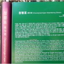 명승 Daum카페