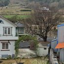 선학농장 이미지