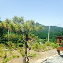(주)아리숲 네이버블로그