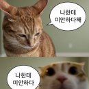 한국통신전기공사