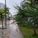 태전드림정형외과의원 이미지