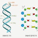 자폐스펙트럼 원인 자폐증 진단 예방 이미지