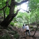 동해시-08 이미지