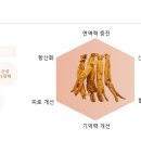 고려홍삼본가