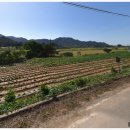 미암면사무소 이미지