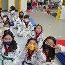 새봄태권도 이미지