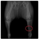 앙리동물병원 이미지