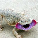 지호농장 이미지