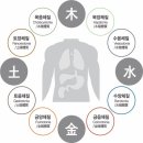 부천 8체질 옥토한의원 2번째 방문 후기