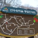 산수유 둘레길 이미지