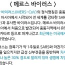 조류독감 관련주 총출동 조류독감 테마주 총출동 이미지