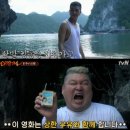 돈콩 이미지