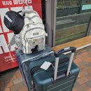 011-1 | LA 낭만 여행 1편: 강아지 해외 이동 봉사 리얼 후기 (KE011편 LAX 직항)