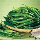 뚱이농장 이미지