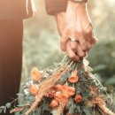 송사축사 이미지