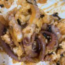 땅끝뻘낙지 이미지