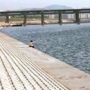 고수부지 이미지