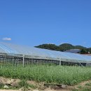 계정1리마을회관 이미지